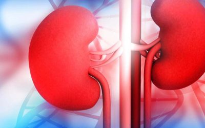 Understanding Kidney Awareness: Key Facts and Actions to Promote Health